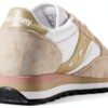 saucony triumph